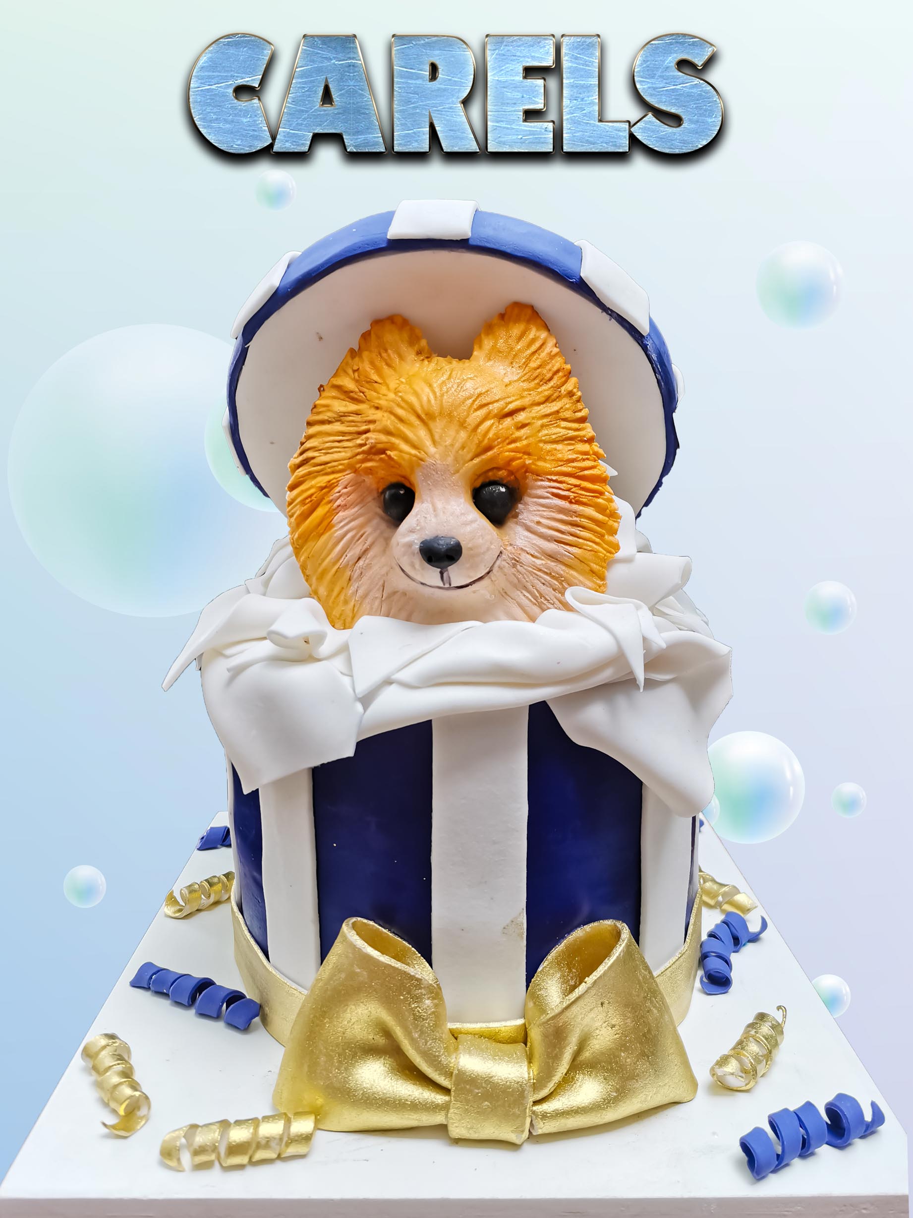 Pastel para festejar mascotas,
Pets cakes
Pastel cumpleaños,
carels